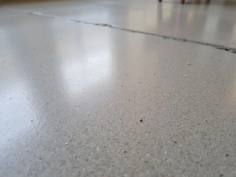 Salt-and-pepper polished concrete close-up